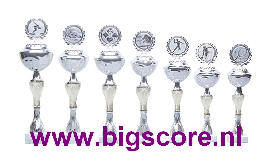 Z513 Beker Zilver